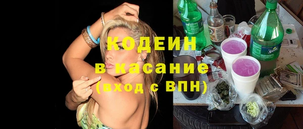 индика Алзамай