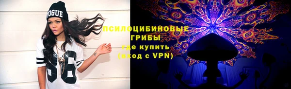 молекула духа Алексеевка