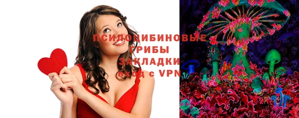 индика Алзамай