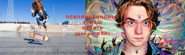 молекула духа Алексеевка