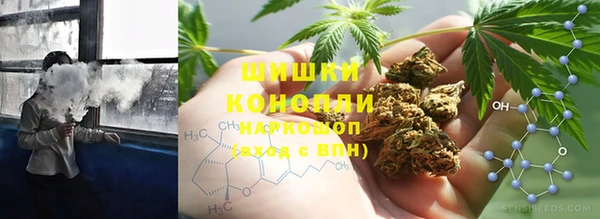 индика Алзамай