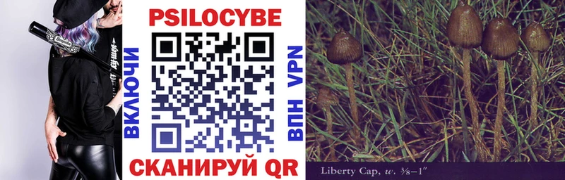 Галлюциногенные грибы Psilocybe  это Telegram  Вихоревка 
